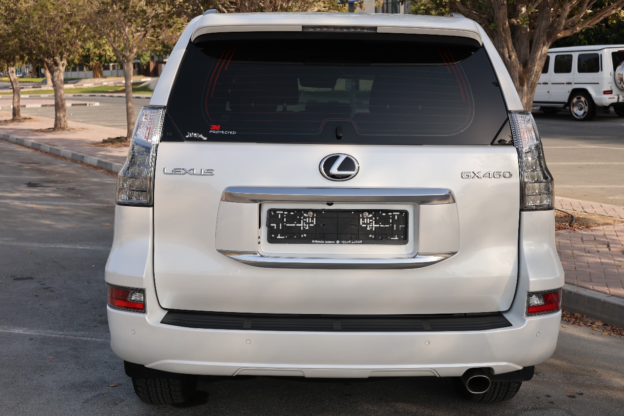 010082b9-dcf4-4ed5-a44d-8a61cc220328